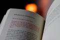 Libros, catalogo Adrift´s Book,Aristas Martinez