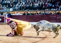 Toros, Olivenza, novillada con picadores, Luis Terrón ,Ganadería: Alejandro Talavante