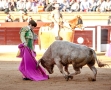 Olivenza, José Garrido, Novillada, Ganadería: Miguel Ruiz