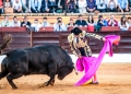 Olivenza, Toros, Manzanares, Garcigrande