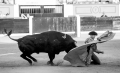 BAdajoz, Novillada con picadores, Juan Carlos Carballo, feria de san juan, ganaderia Fernando Peña
