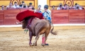Toros, Badajoz, Talavante, Núñez del Cuvillo .