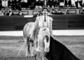 Toros, Olivenza, novillada con picadores, Ginés Marín, Ganadería:Alejandro Talavante