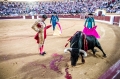 Olivenza, Francisco Rivera, Ganadería: Victoriano del Rio