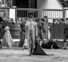 Toros, Badajoz, Feria de San juan, Ganadería Daniel Ruiz, Talavante
