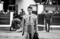 Toros, Talavante.  Ganadería Daniel Ruiz,