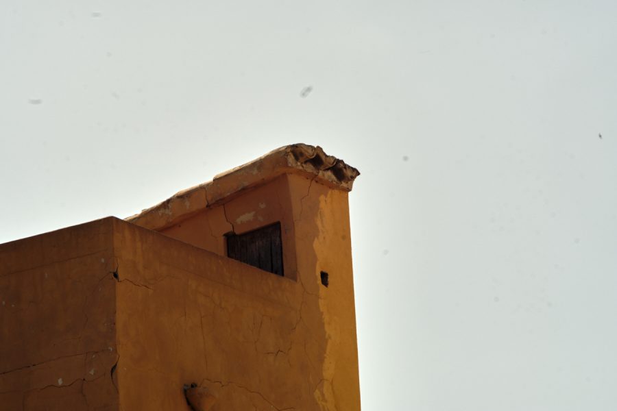 vencejos en Palma, Plaza de la quartera, esquina