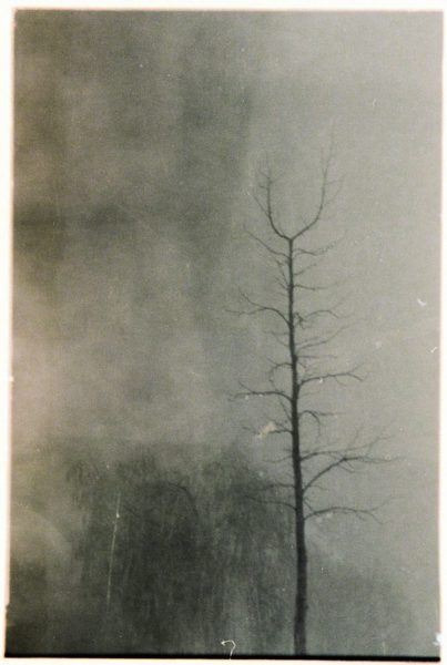 Navidad en el Guadiana