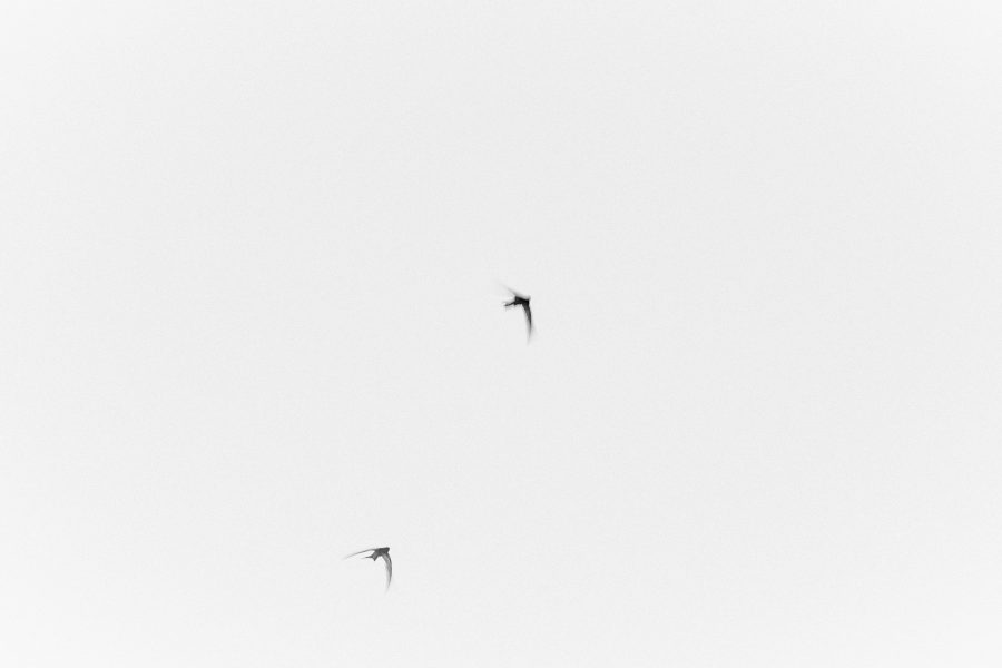 Prints on Bio.
.
.
.
#fineartphg #artlovers #arte #artsy #visualart #contemporaryart #fineartphoto #fineart #fineartphotography #myart #artcollector #artgallery #artnews #modernart#contemporary#interiordesign #interiorista #sky#birds#cloud #swifts #nowherediary #lensculture#theglobewanderer #wearethestreet #thecreative #artofvisuals #artphotography #instaartwork